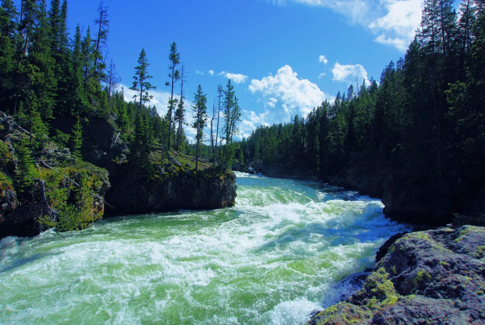 Beyond Moorcroft: Epic Road Trips from the City for Nature Lovers