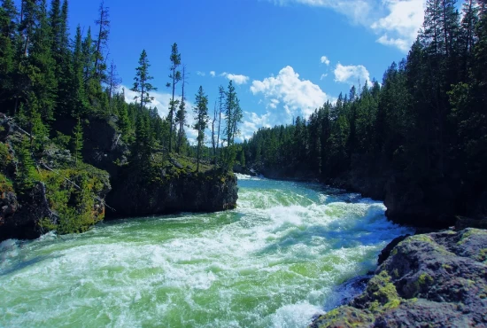 Beyond Moorcroft: Epic Road Trips from the City for Nature Lovers