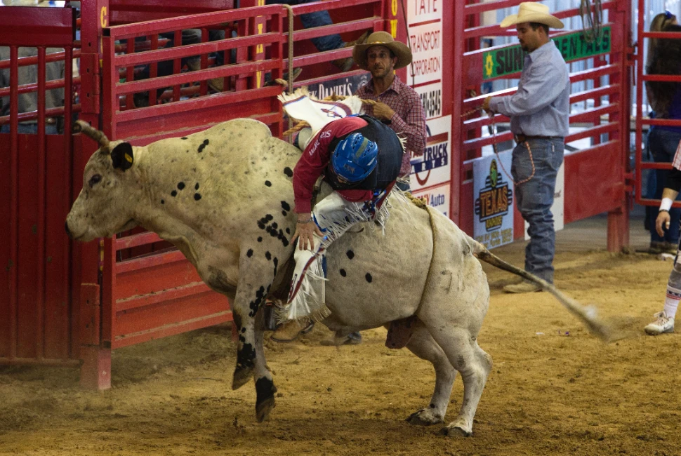 Mark Your Calendar! Exciting Events and Festivals in Moorcroft, WY
